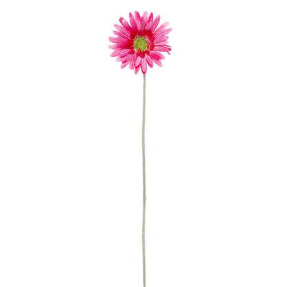 Gerbera Aztec Hot Pink (10cmDx54cmH)