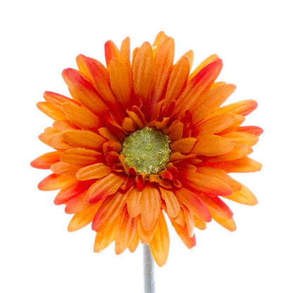 Gerbera Aztec Orange (10cmDx54cmH)