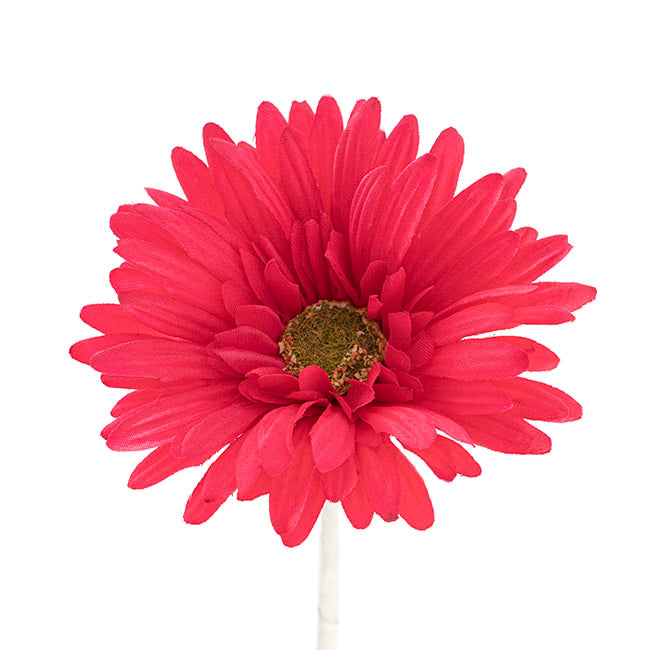 Gerbera Aztec Watermelon (10cmDx54cmH)