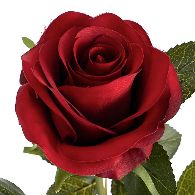 Valentina Silk Open Rose