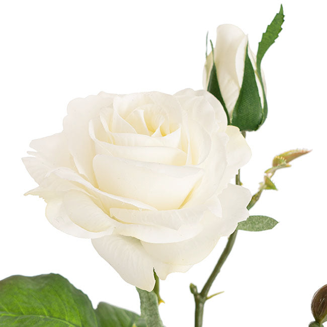 Real Touch Short Stem Rose x 3 Head White (36cmH)