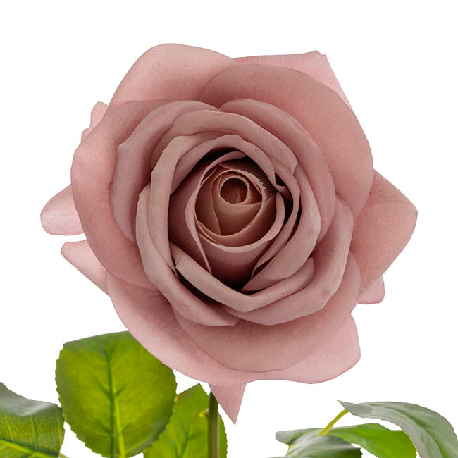Bella Real Touch Rose Full Bloom Lge Powder Pink (12cmx65cmH