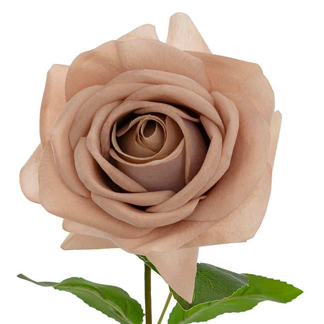 Bella Real Touch Rose Full Bloom Lge Nude (12cmDx65cmH)