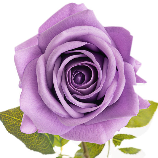 Bella Real Touch Rose Full Bloom Lge Soft Purple (12Dx65cmH)