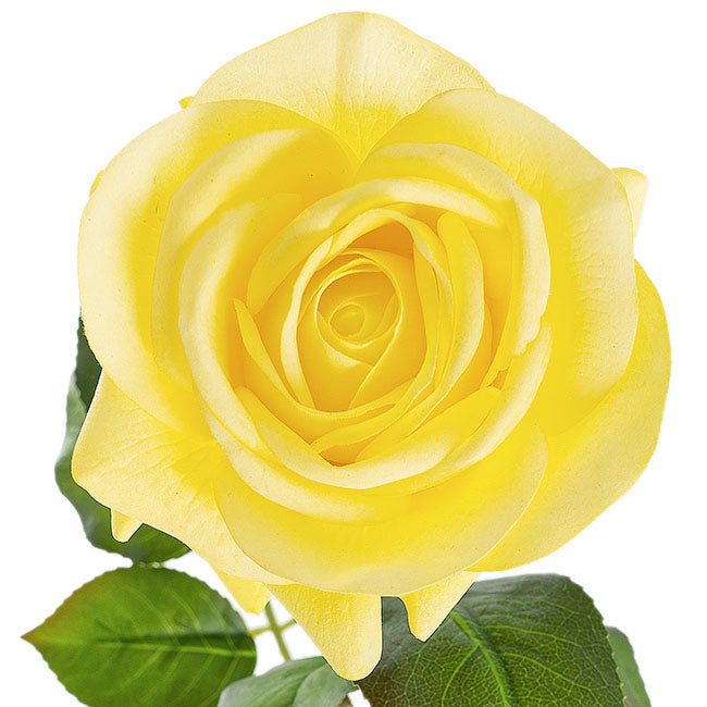Bella Real Touch Rose Full Bloom Lge Yellow (12cmDx65cmH)