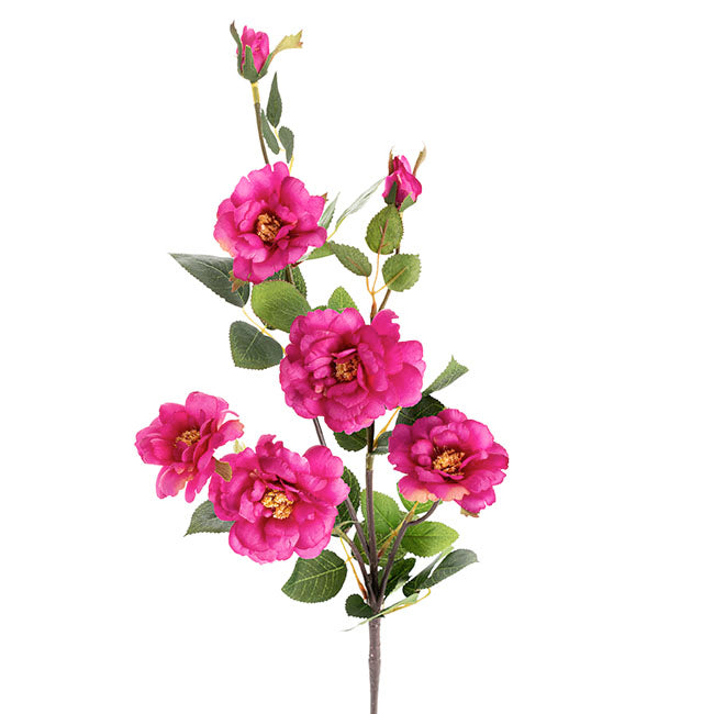 Iceland Rose Spray x 7 Head Fuchsia (72cmH)