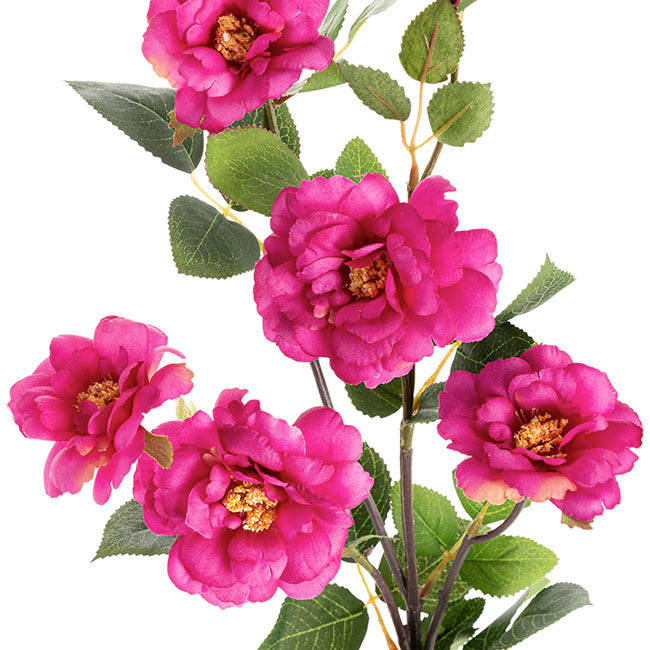 Iceland Rose Spray x 7 Head Fuchsia (72cmH)
