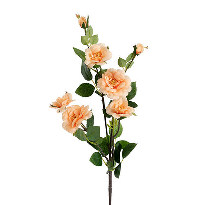 Iceland Rose Spray x 7 Head Peach (72cmH)