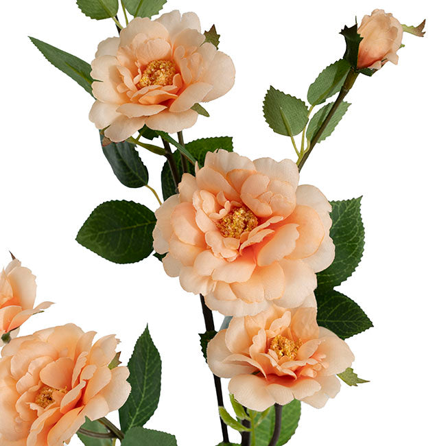 Iceland Rose Spray x 7 Head Peach (72cmH)