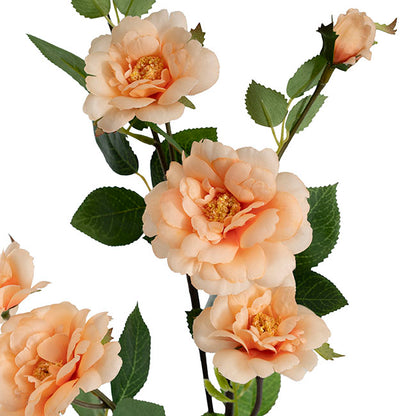 Iceland Rose Spray x 7 Head Peach (72cmH)