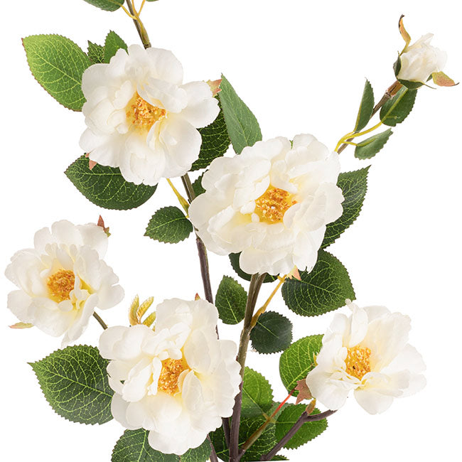 Iceland Rose Spray x 7 Head White (72cmH)