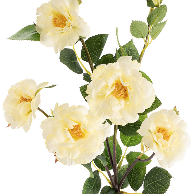 Iceland Rose Spray x 7 Head Light Yellow (72cmH)