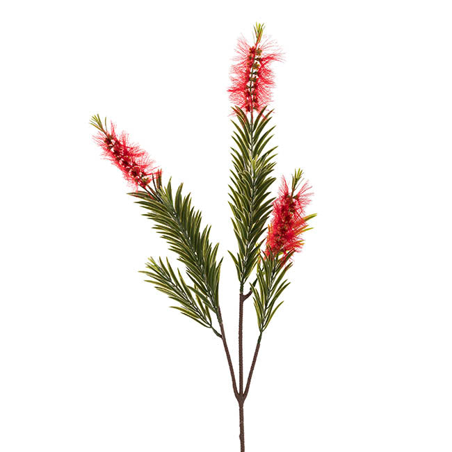 Australian Bottle Brush Real Touch x3 Head Spray Red (72cmH)