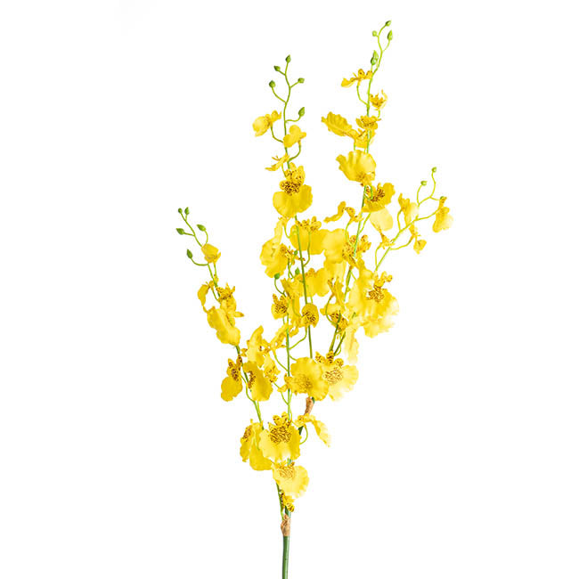 Dancing Lady Orchid Yellow (89cmH)