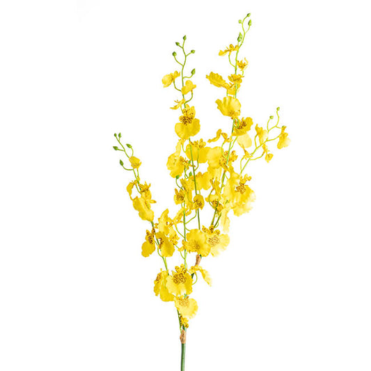 Dancing Lady Orchid Yellow (89cmH)