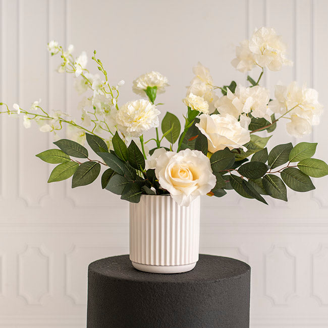 Bougainvillea Spray White (70cmH)