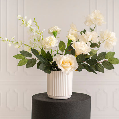 Bougainvillea Spray White (70cmH)