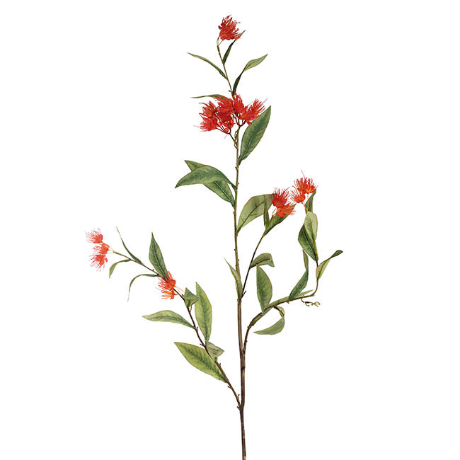 Real Touch Eucalyptus Ficifolia Gum Spray Orange (110cmH)
