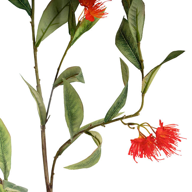 Real Touch Eucalyptus Ficifolia Gum Spray Orange (110cmH)