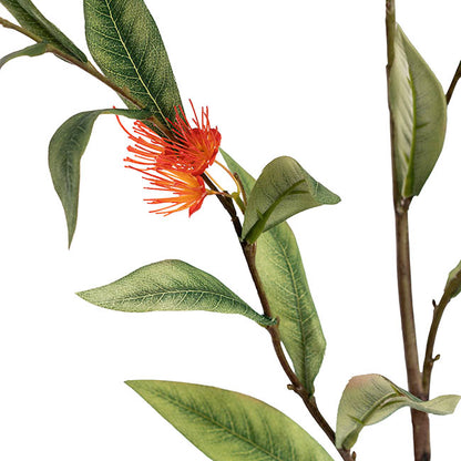 Real Touch Eucalyptus Ficifolia Gum Spray Orange (110cmH)