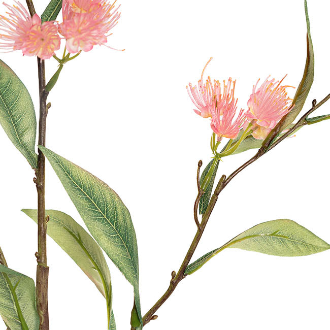 Real Touch Eucalyptus Ficifolia Gum Spray Pink (110cmH)