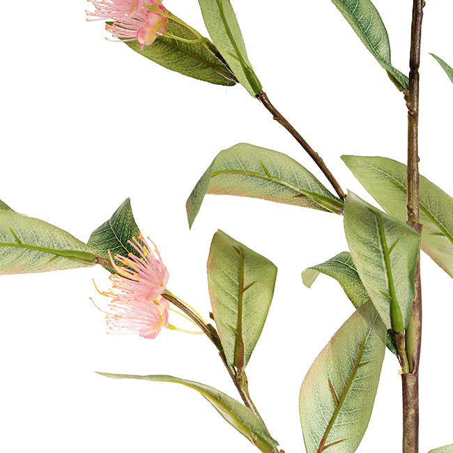 Real Touch Eucalyptus Ficifolia Gum Spray Pink (110cmH)
