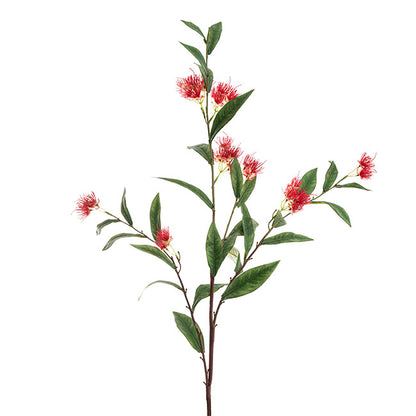 Real Touch Eucalyptus Ficifolia Gum Spray Red (110cmH)