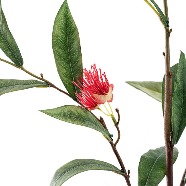 Real Touch Eucalyptus Ficifolia Gum Spray Red (110cmH)