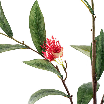 Real Touch Eucalyptus Ficifolia Gum Spray Red (110cmH)