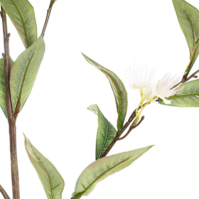 Real Touch Eucalyptus Ficifolia Gum Spray White (110cmH)