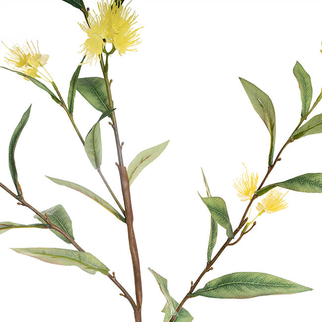 Real Touch Eucalyptus Ficifolia Gum Spray Yellow (110cmH)