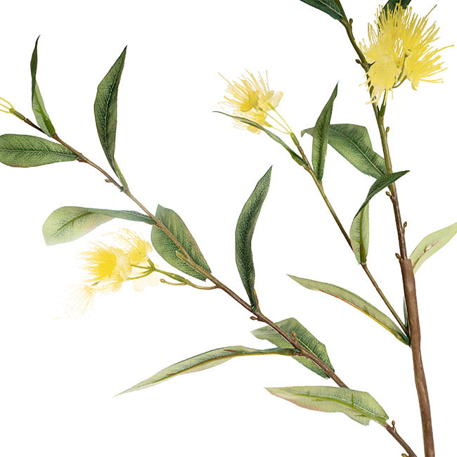 Real Touch Eucalyptus Ficifolia Gum Spray Yellow (110cmH)
