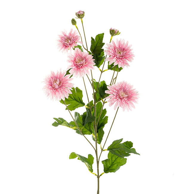 Chrysanthemum x 7 Head Spray Soft Pink (83cmH)