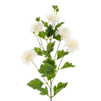 Chrysanthemum x 7 Head Spray White (83cmH)