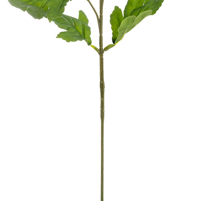 Chrysanthemum x 7 Head Spray White (83cmH)