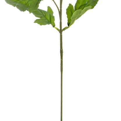 Chrysanthemum x 7 Head Spray White (83cmH)