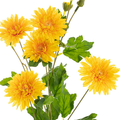 Chrysanthemum x 7 Head Spray Yellow (83cmH)