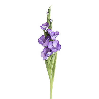 Real Touch Gladiolus x 5 Head Long Stem Purple (82cmH)