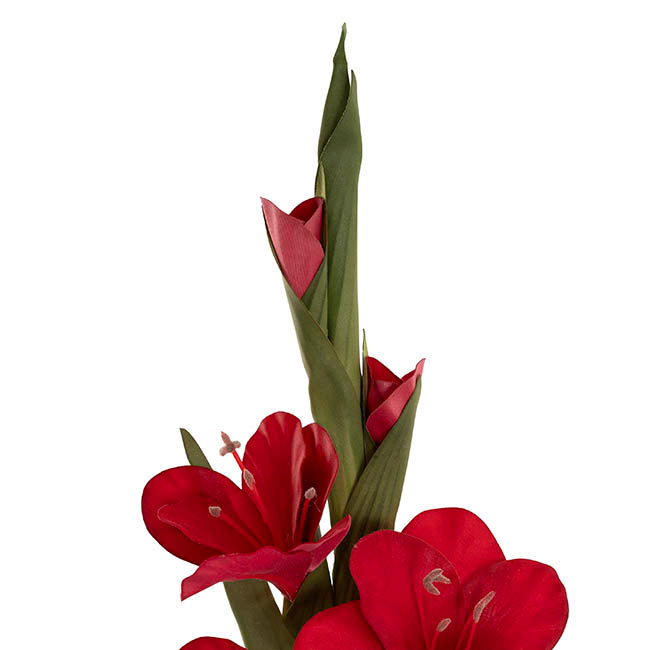 Real Touch Gladiolus x 5 Head Long Stem Red (82cmH)