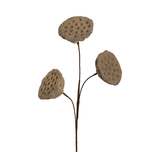 Lotus Pod Spray Brown (63cmH)
