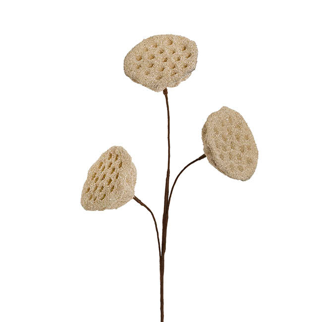 Lotus Pod Spray Nude Beige (63cmH)