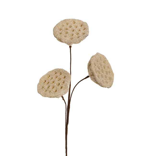 Lotus Pod Spray Nude Beige (63cmH)