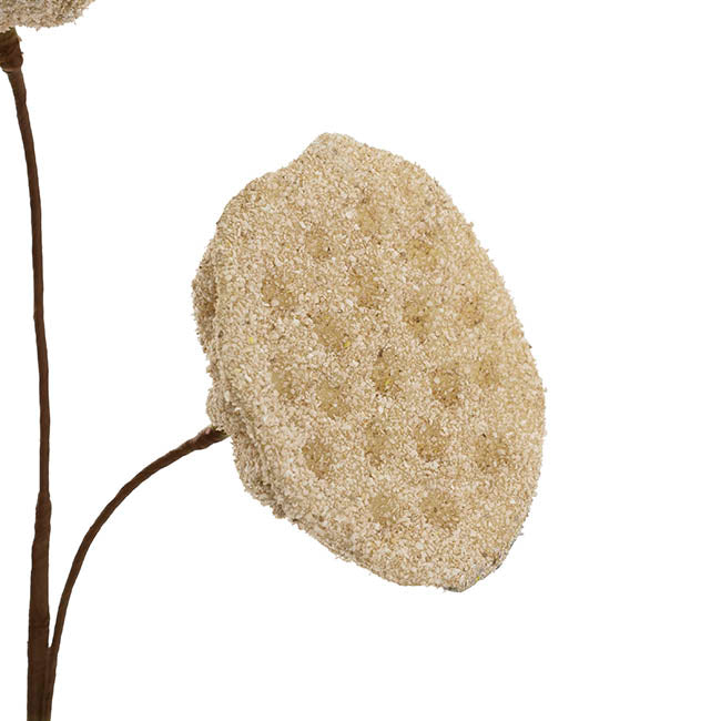 Lotus Pod Spray Nude Beige (63cmH)