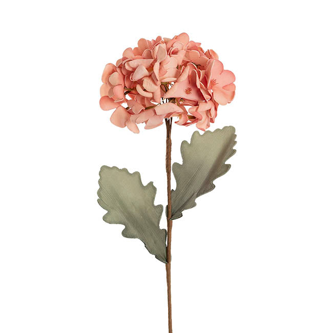 Hydrangea Kate Large Stem Coral Pink (70cmH)