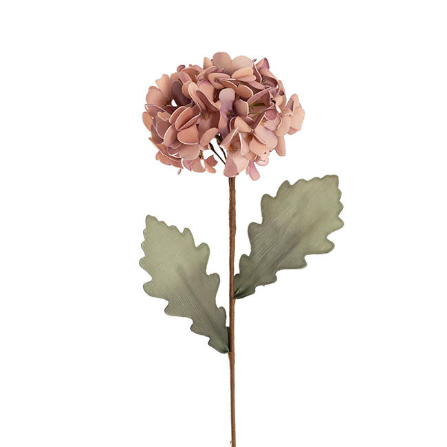 Hydrangea Kate Large Stem Mauve (70cmH)