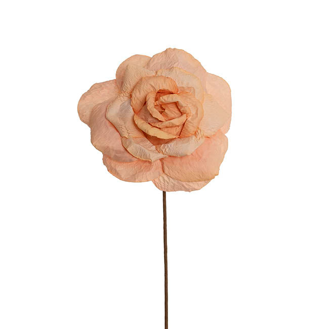 Lina Large Crepe Paper Rose Stem Nude (24cmDx66cmH)