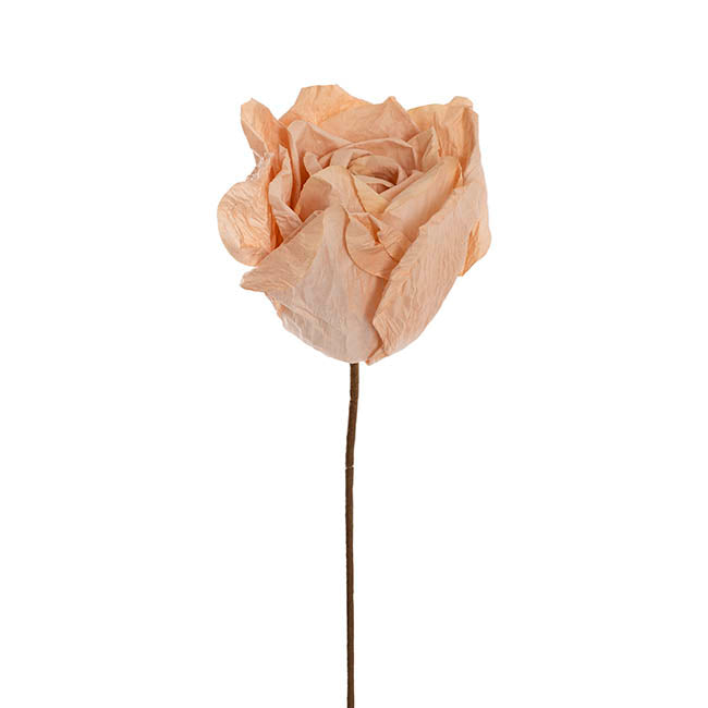 Lina Large Crepe Paper Rose Stem Nude (24cmDx66cmH)