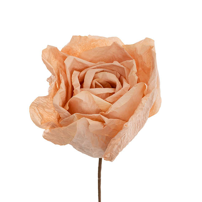 Lina Large Crepe Paper Rose Stem Nude (24cmDx66cmH)