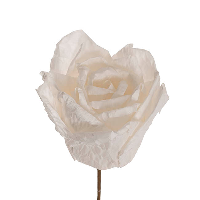 Lina Large Crepe Paper Rose Stem White (24cmDx66cmH)