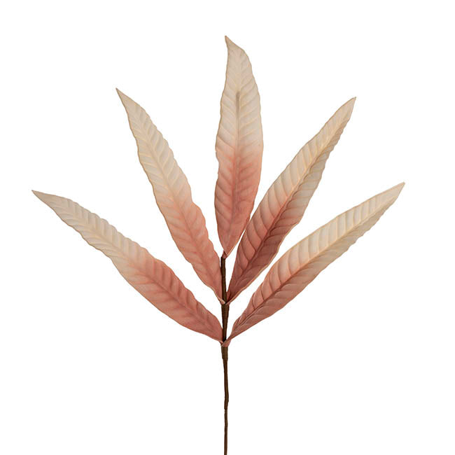 Hart's Tongue Fern Leaf Spray Dusty Pink (80cmH)